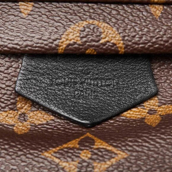 Louis Vuitton Monogram Canvas Palm Springs PM Backpack Bag - Picture 7 of 12